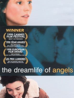 The Dreamlife of Angels poster art