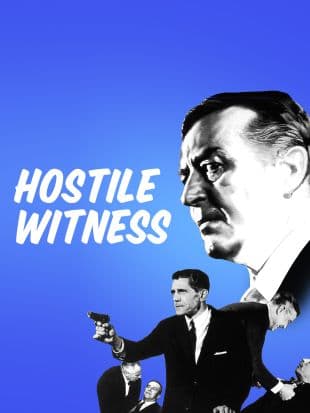 Hostile Witness poster art