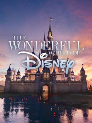 The Wonderful World of Disney poster art