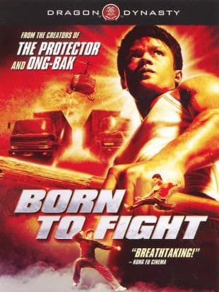 Born to Fight poster art