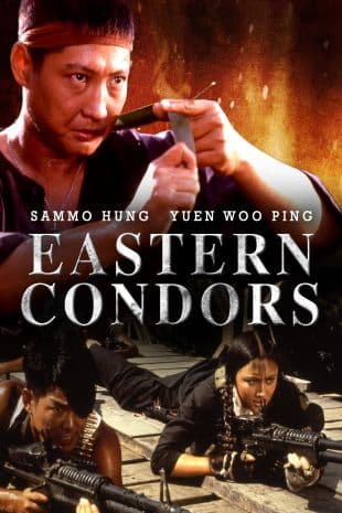 Eastern Condors poster art