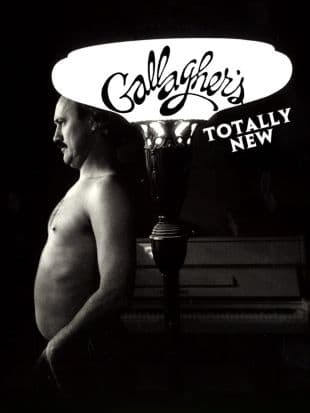 Gallagher: Totally New poster art