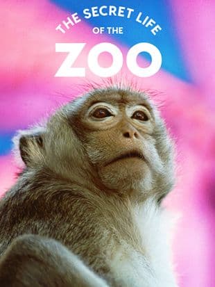 Secret Life of the Zoo poster art