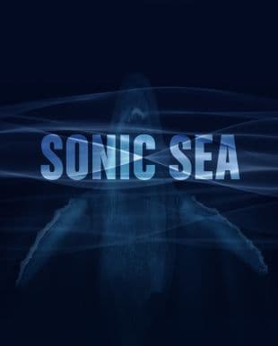 Sonic Sea poster art