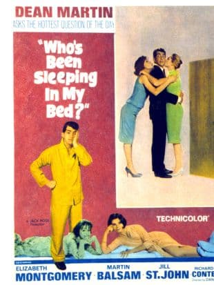 Who's Been Sleeping in My Bed? poster art