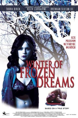 Winter of Frozen Dreams poster art