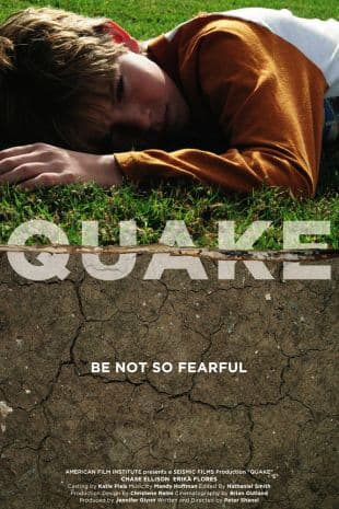 Quake poster art
