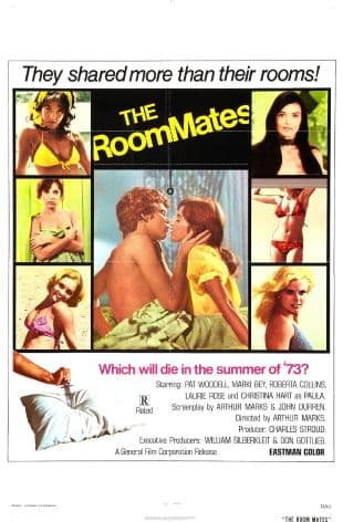 The Roommates poster art