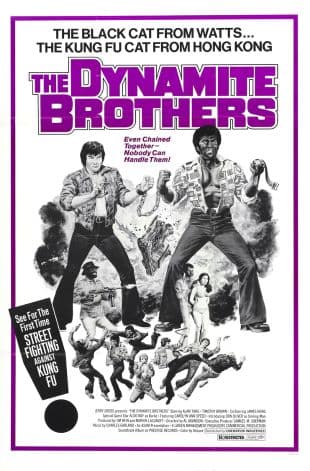 The Dynamite Brothers poster art