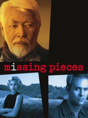 Missing Pieces poster art