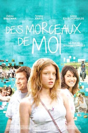 Des morceaux de moi poster art