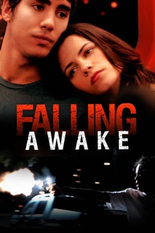 Falling Awake poster art