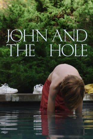 John and the Hole poster art