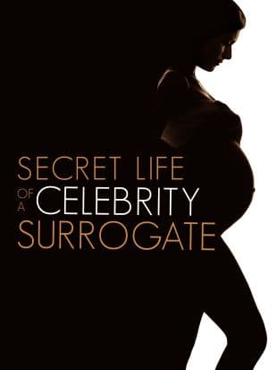 The Secret Life of a Celebrity Surrogate poster art