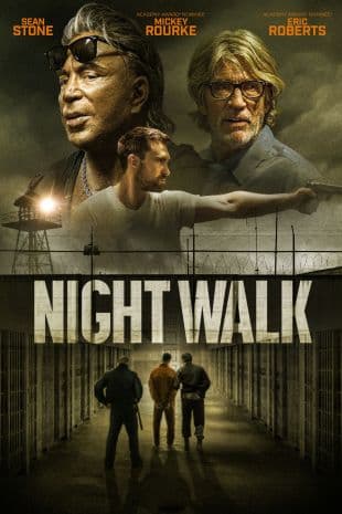 Night Walk poster art