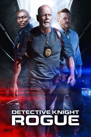 Detective Knight: Rogue poster art