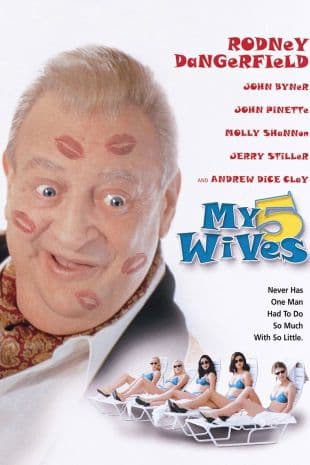 My 5 Wives poster art