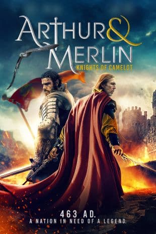 Arthur & Merlin: Knights of Camelot poster art