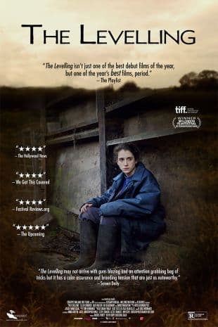 The Levelling poster art