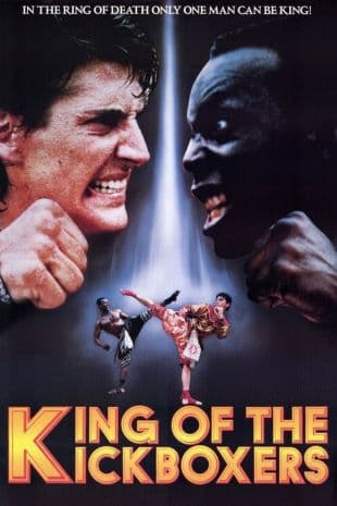 The King of the Kickboxers poster art