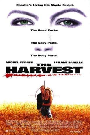 The Harvest poster art