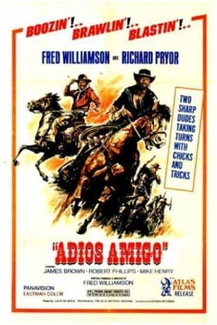 Adios Amigo poster art