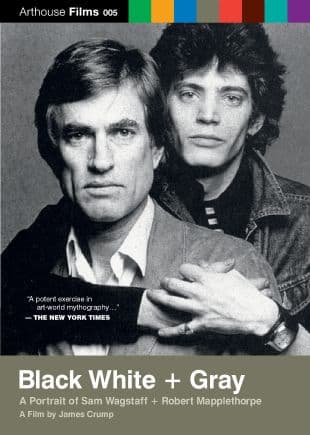 Black White + Gray: A Portrait of Sam Wagstaff and Robert Mapplethorpe poster art