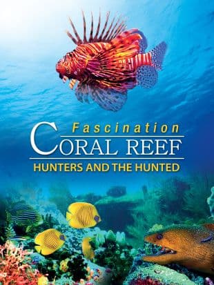 Fascination Coral Reef: Hunters and the Hunted poster art