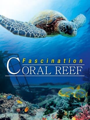 Fascination Coral Reef poster art