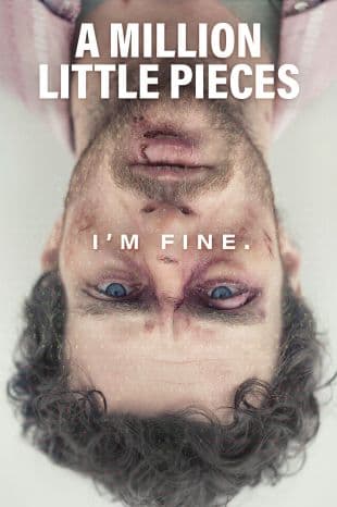 A Million Little Pieces poster art