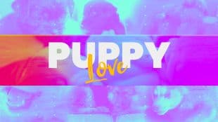 Puppy Love poster art