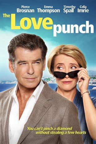 The Love Punch poster art