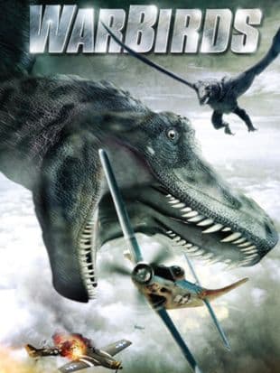 Warbirds poster art
