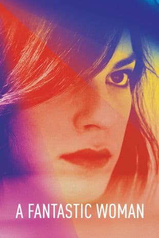 A Fantastic Woman poster art