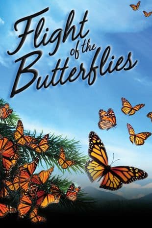 Flight of the Butterflies poster art