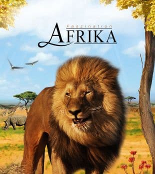 Amazing Africa poster art