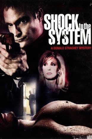 Shock to the System: A Donald Strachey Mystery poster art