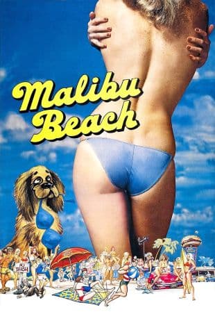 Malibu Beach poster art
