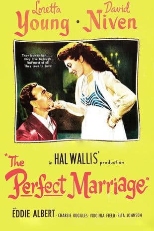 The Perfect Marriage poster art