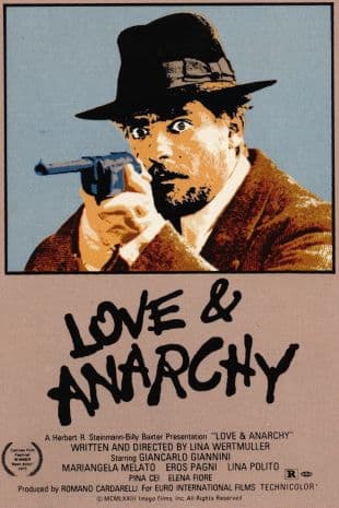 Love and Anarchy poster art