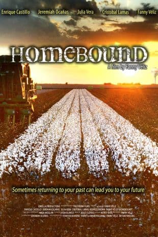 Homebound poster art