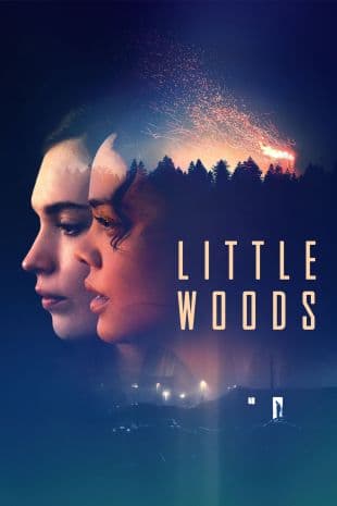 Little Woods poster art