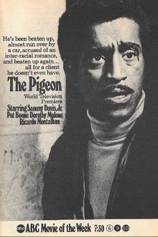 The Pigeon poster art