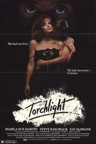 Torchlight poster art