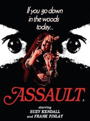 Assault poster art