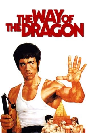 Revenge of the Dragon poster art