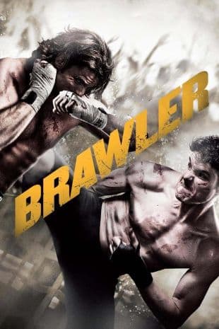 Brawler poster art