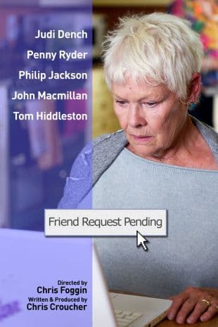 Friend Request Pending poster art