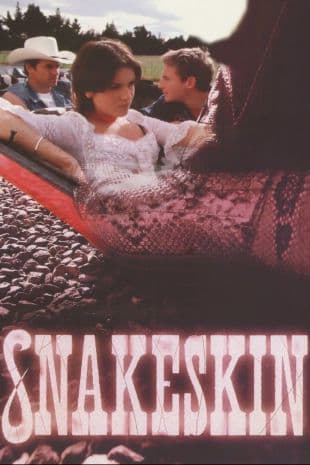 Snakeskin poster art