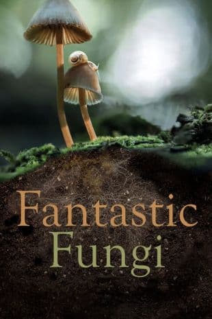 Fantastic Fungi poster art